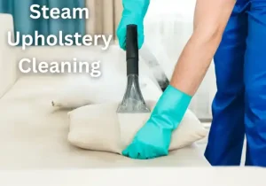 Steam Upholstery Cleaning with the Highest Efficiency