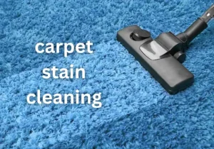 Professional Carpet Stain Cleaning
